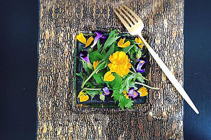 サンプルテキスト